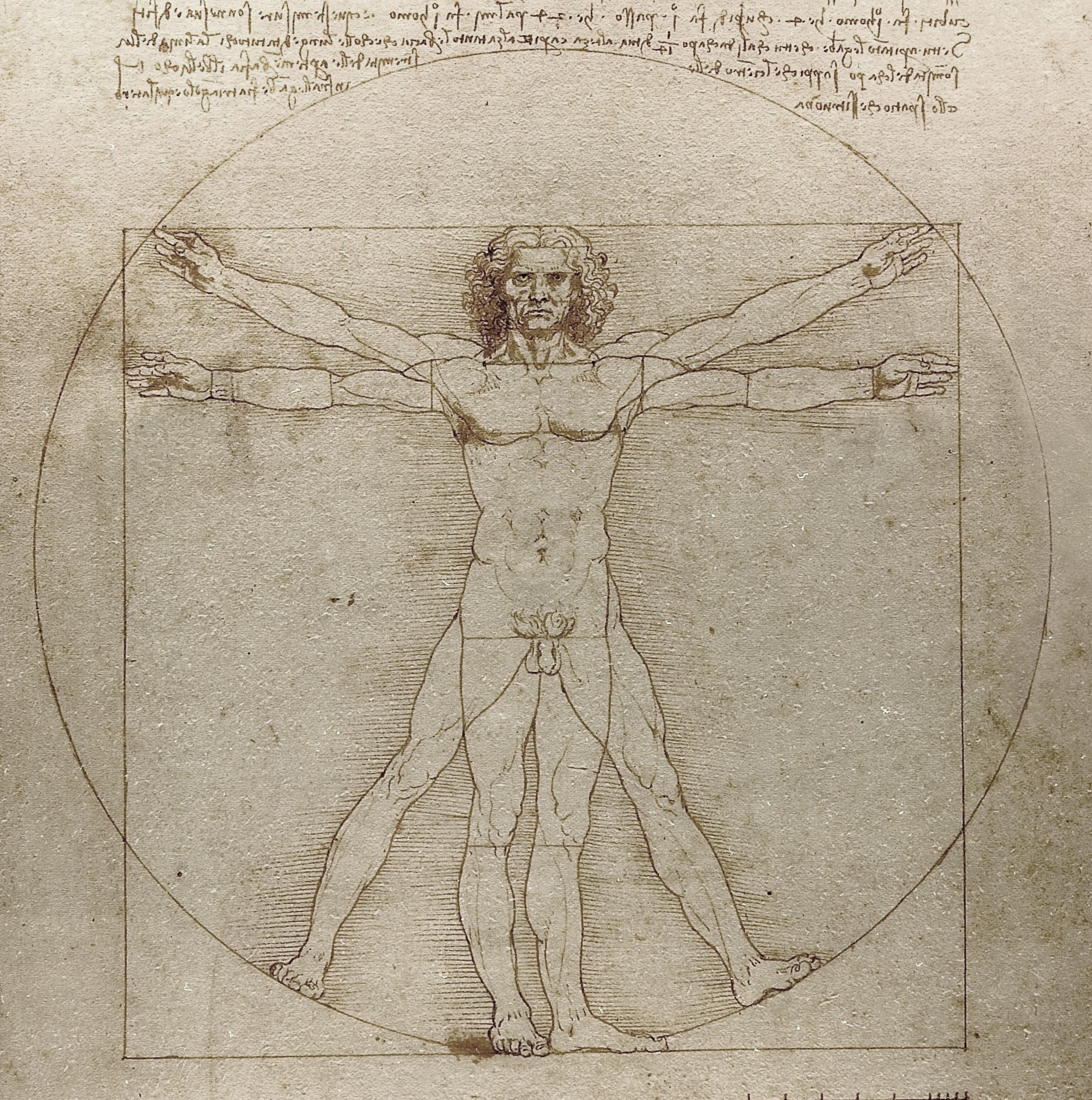 картинка к новости Суд запретил представлять "Витрувианского человека" на выставке Леонардо да Винчи в Лувре